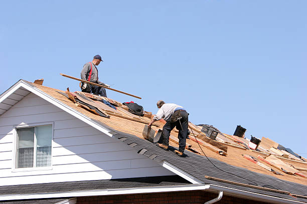 Best Metal Roofing Installation  in Knoxvle, IL