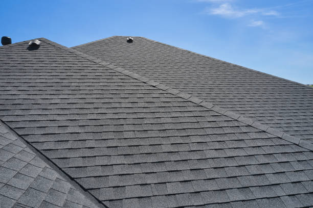 Best Solar Panel Roofing Installation  in Knoxvle, IL